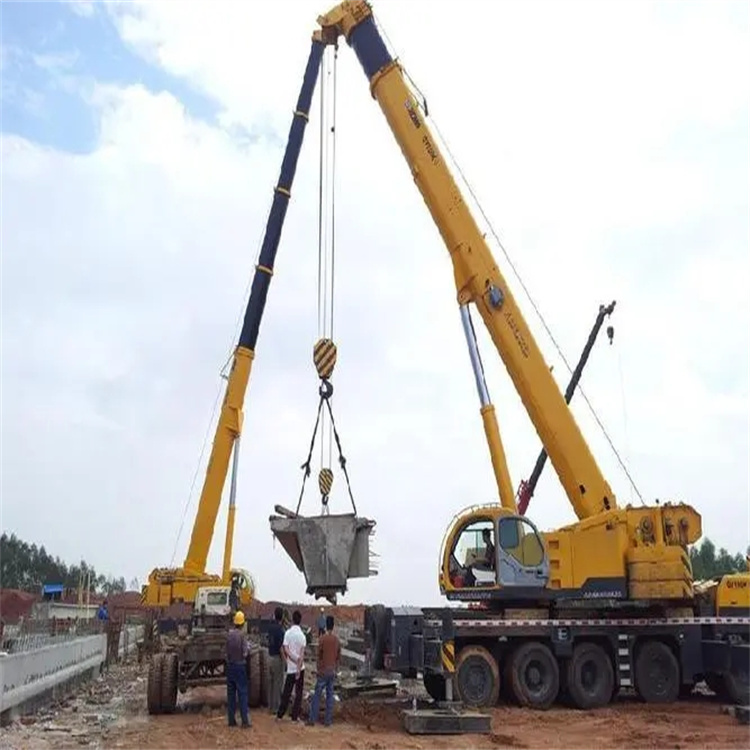 应城小型吊机出租电话|厂房设备吊装方案|24小时服务覆盖